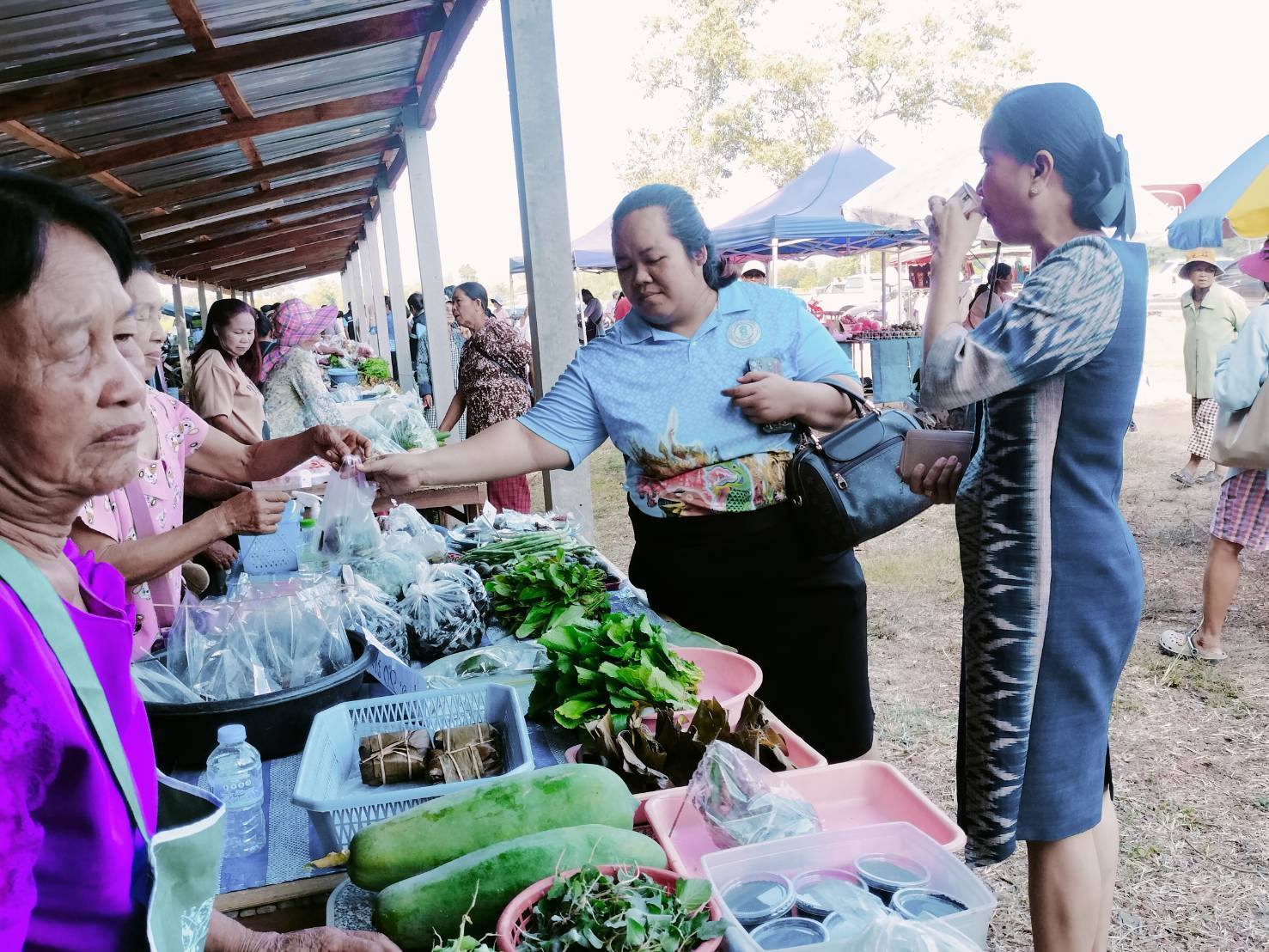 ร่วมเป็นเกียรติเปิดตลาดแม่ตะเคียน ณ บริเวณดอนปู่ตาแม่ตะเคียน หมู่ 6 บ้านนาซึม ตำบลนาโส่ อำเภอกุดชุม จังหวัดยโสธร